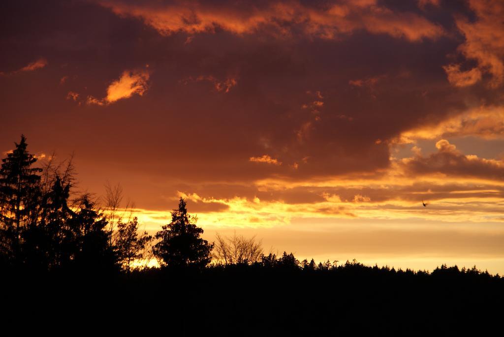 Gasthof Jaegerheim Birgland Buitenkant foto