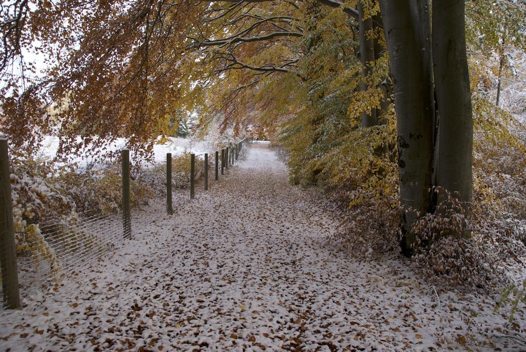 Gasthof Jaegerheim Birgland Buitenkant foto