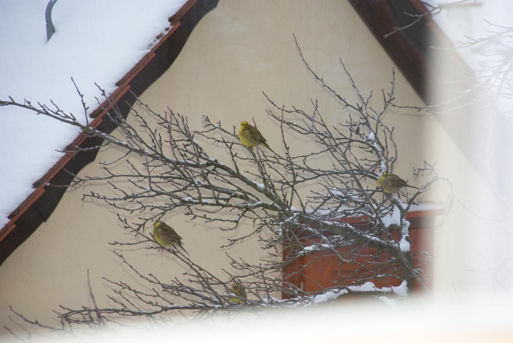 Gasthof Jaegerheim Birgland Buitenkant foto