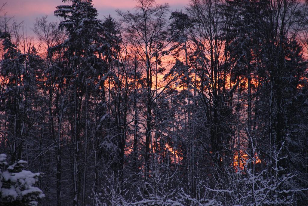 Gasthof Jaegerheim Birgland Buitenkant foto