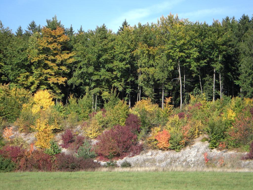 Gasthof Jaegerheim Birgland Buitenkant foto
